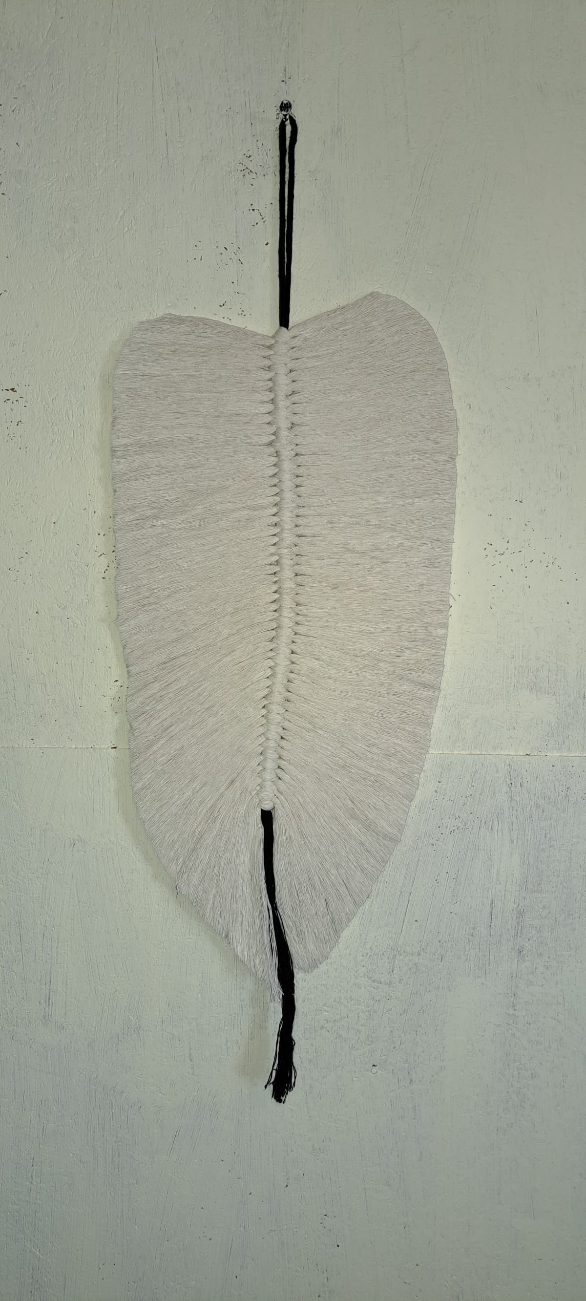 Hola pluma crudo, negro 