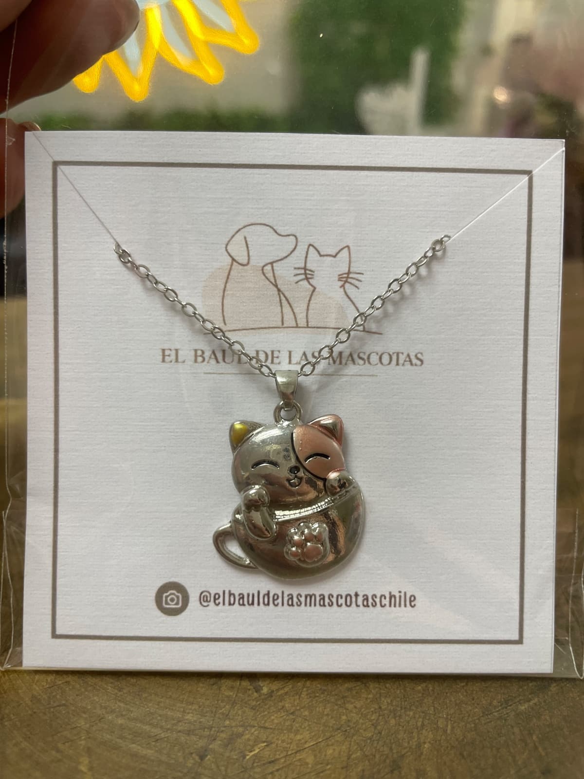 Collar gatito taza