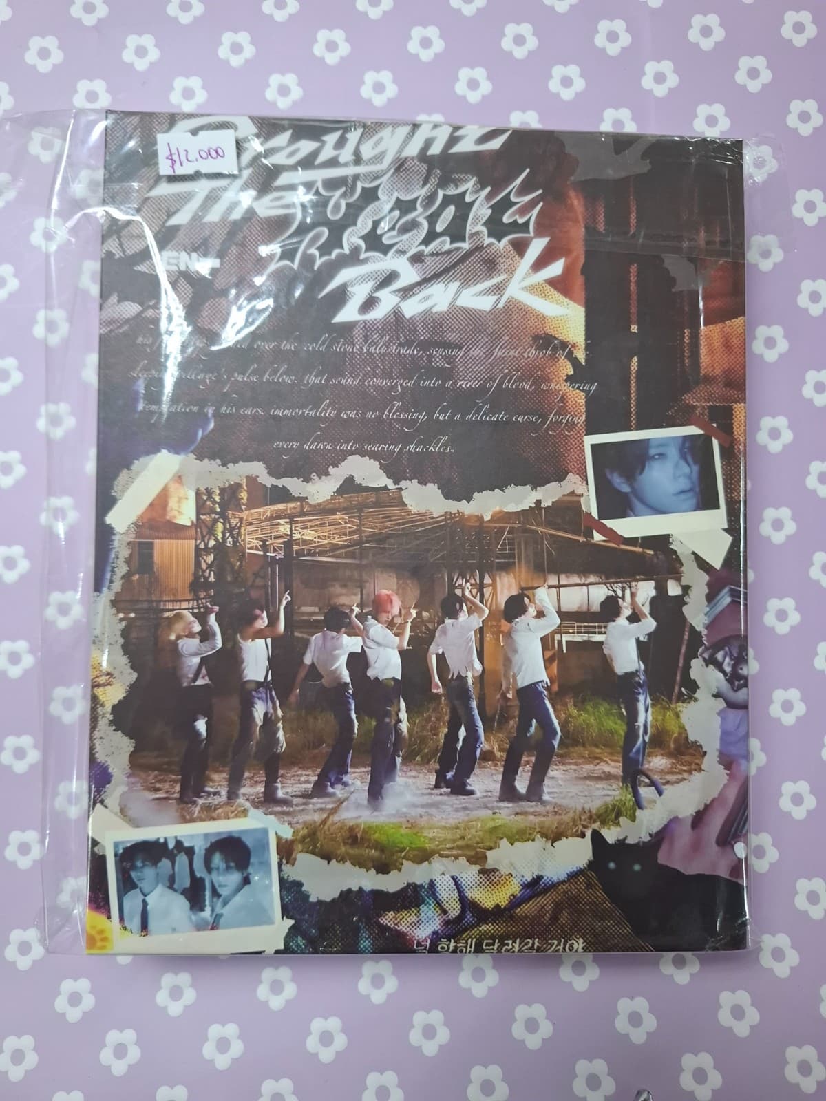 Binder Cartón Enhypen