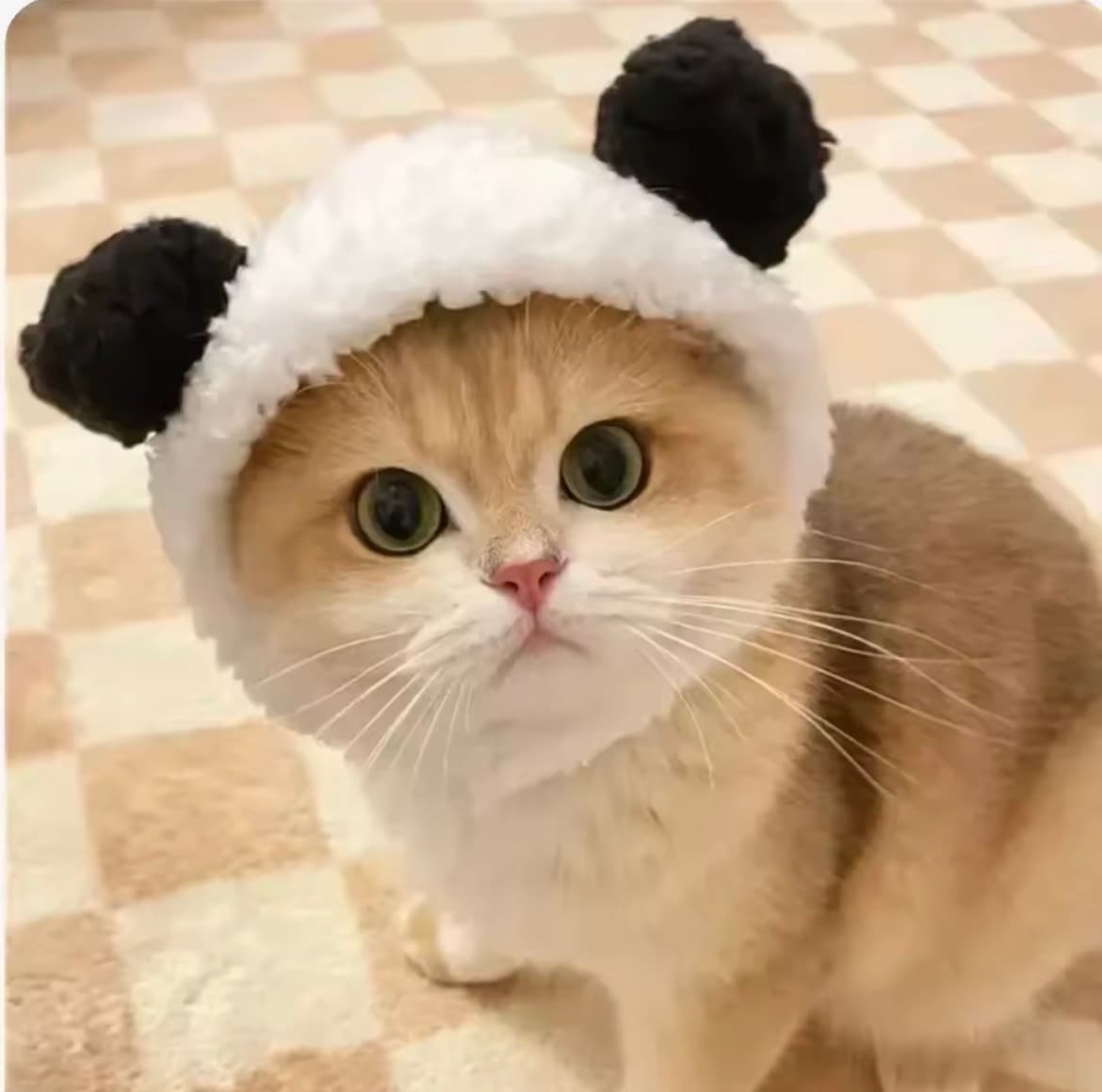 Gorrito Panda