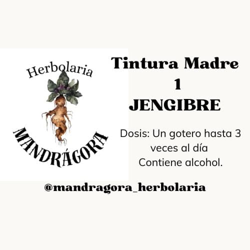 Tintura Madre de Jengibre - Jengibre