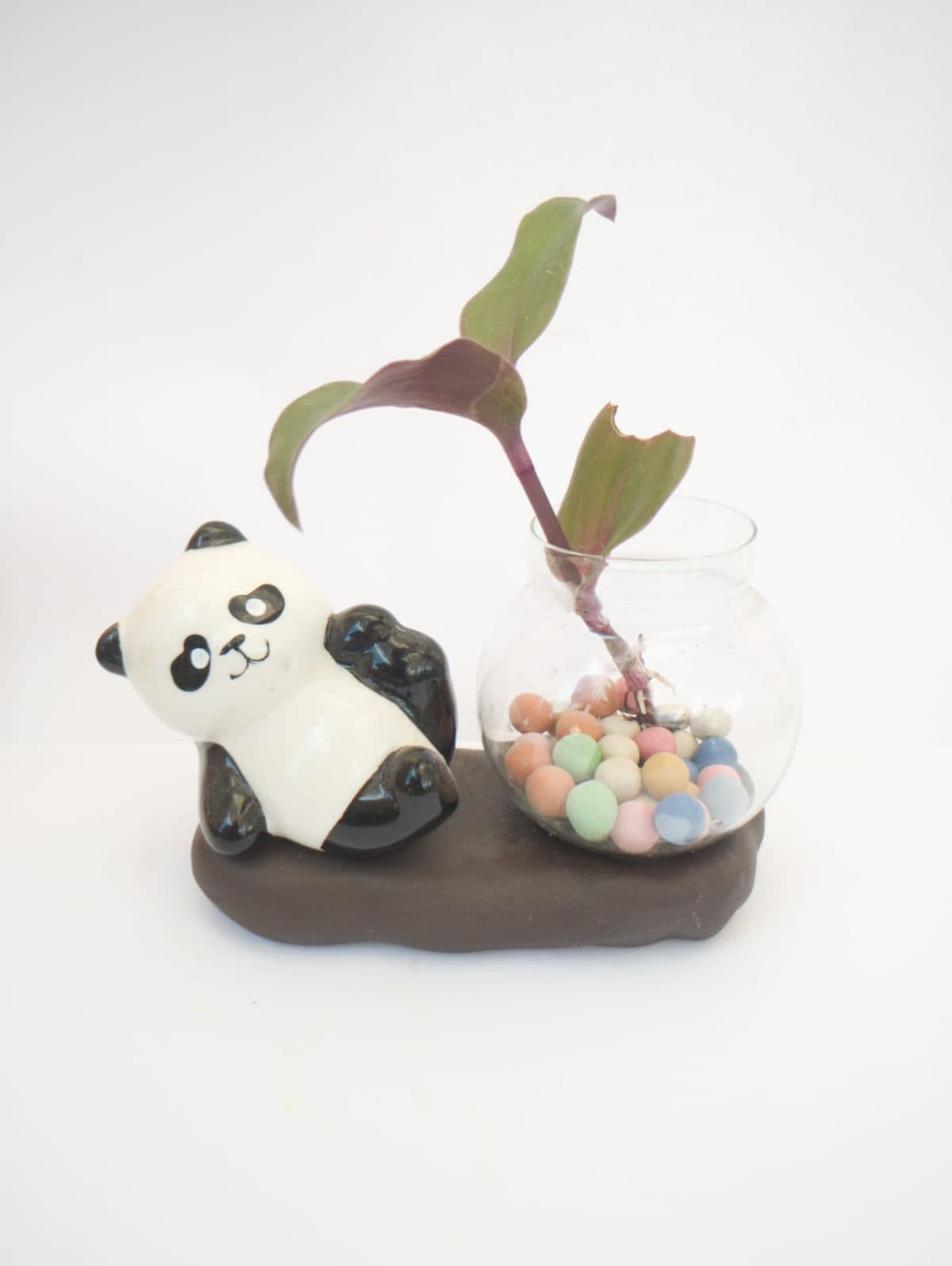 Maceta Panda hidropónica