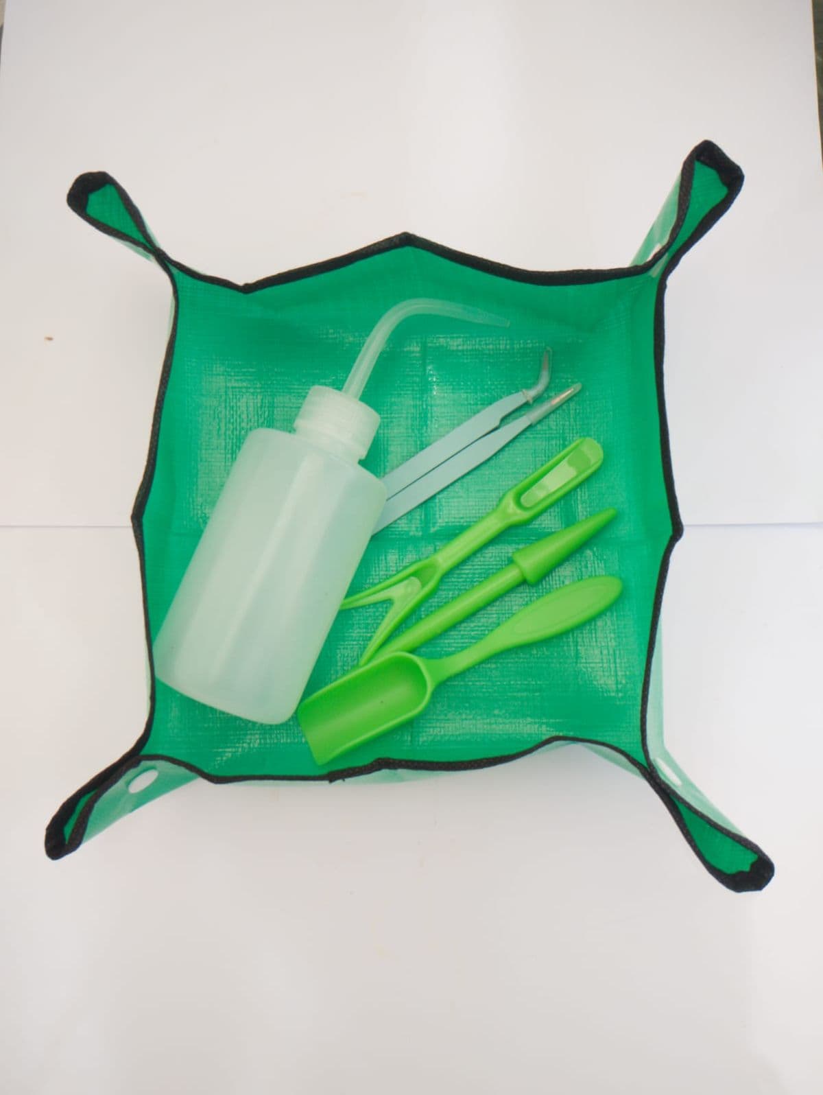 Kit jardinería para suculentas