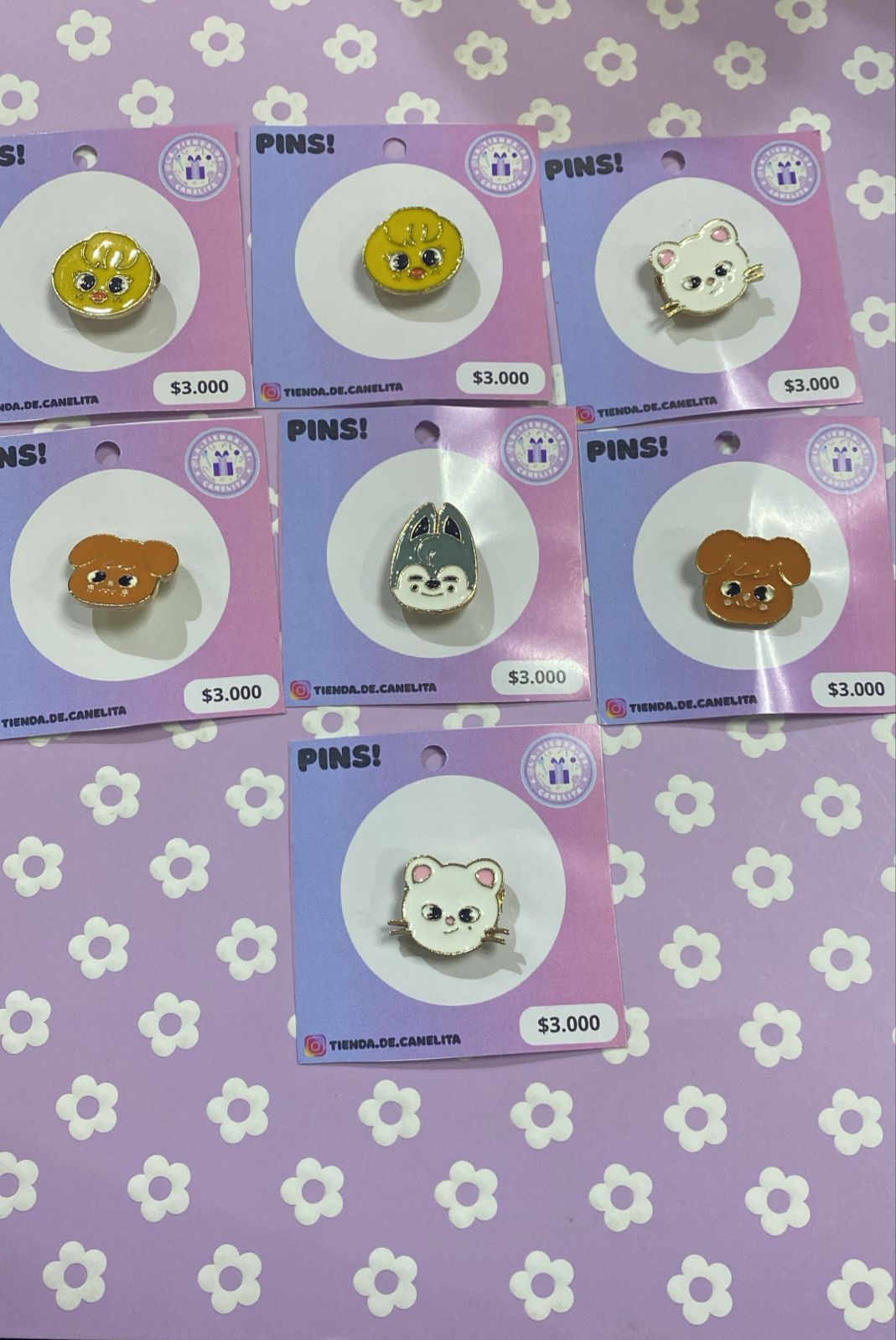 Pin Stray kids