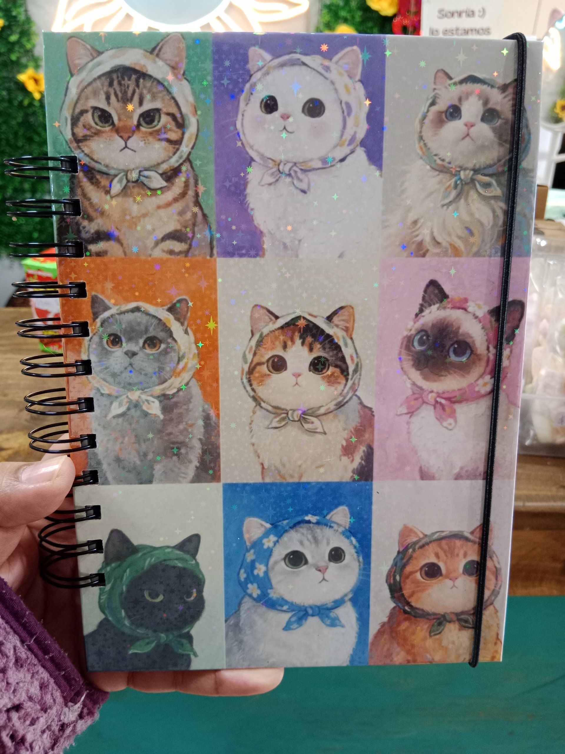 Cuaderno Gatitos