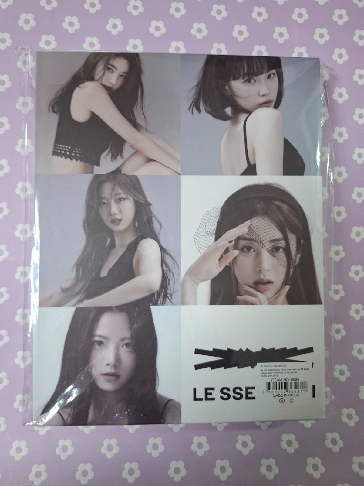 Binder Cartón Lesserafim  2