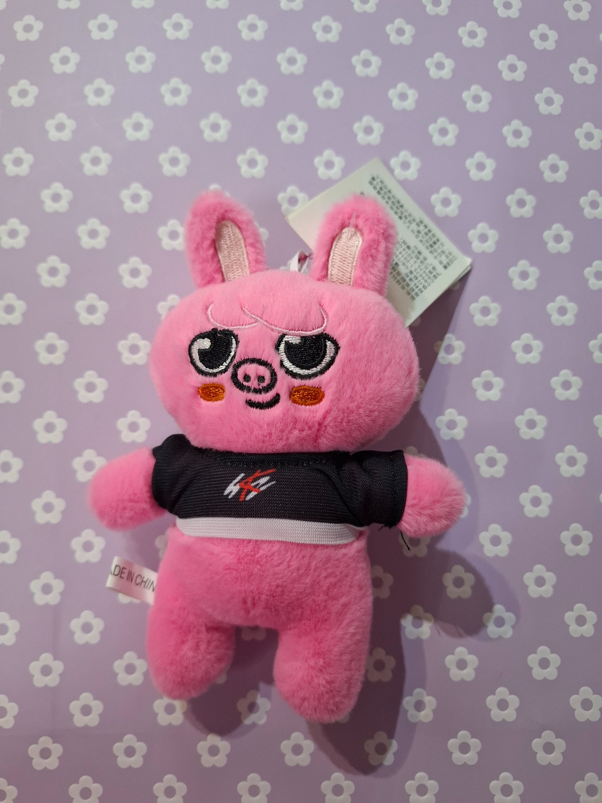 Llavero mediano Straykids Changbing