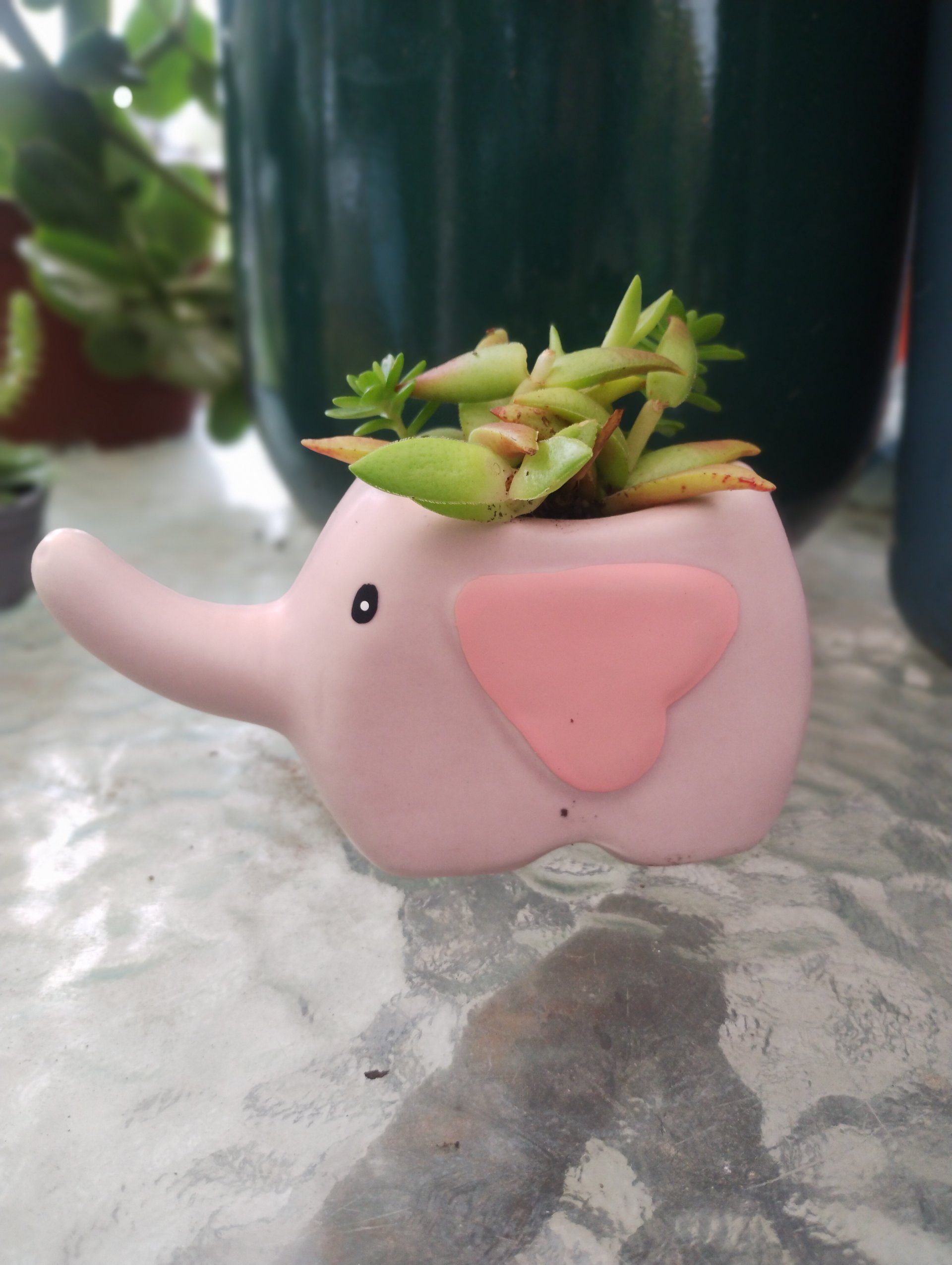 Elefante