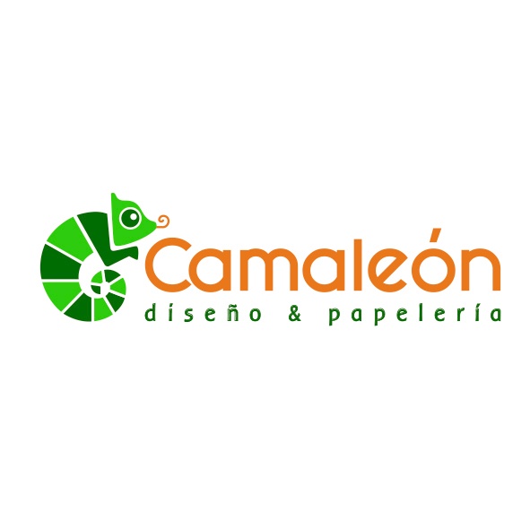 Taller Camaleón