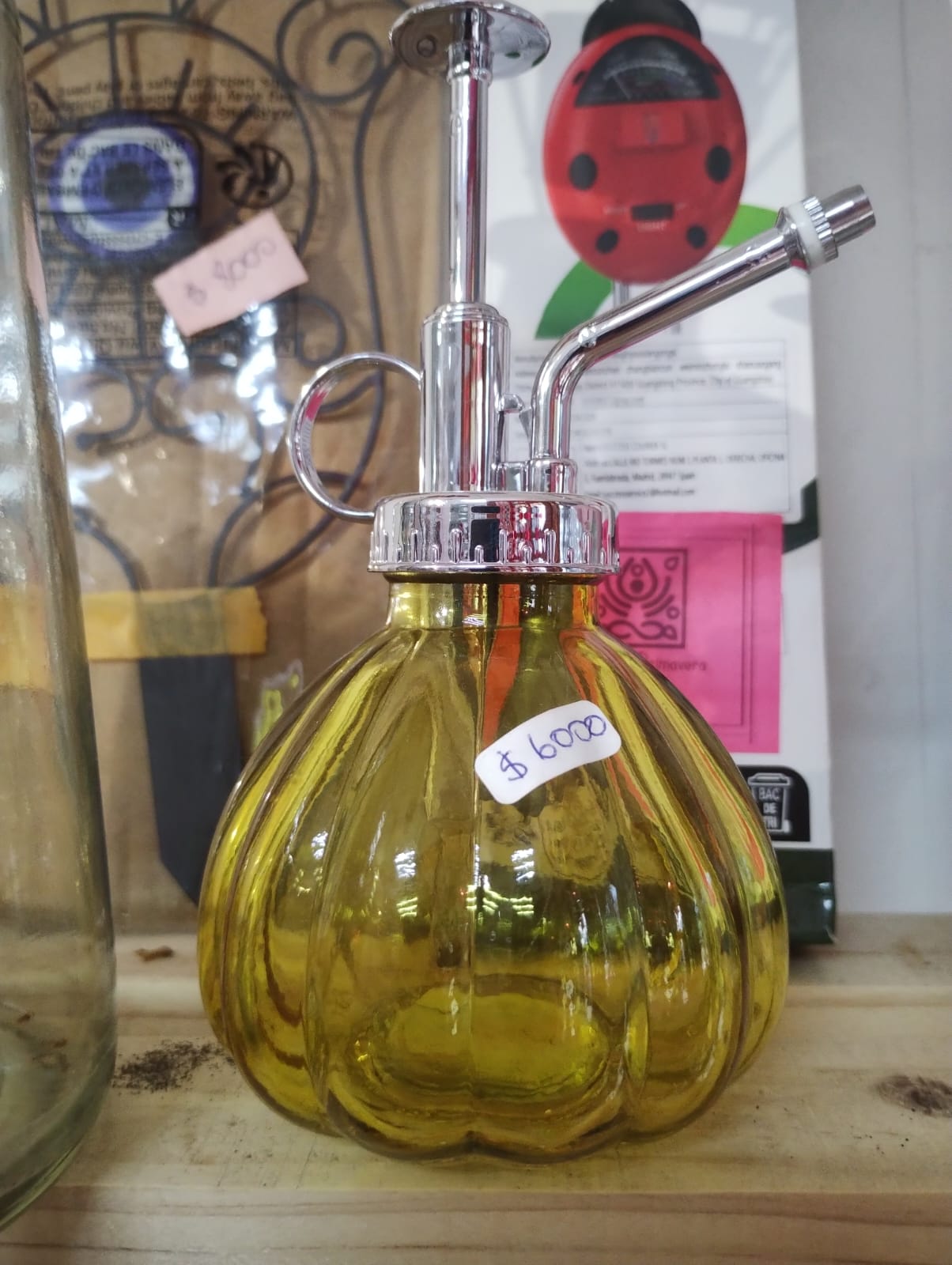 regadera vidrio suculentas