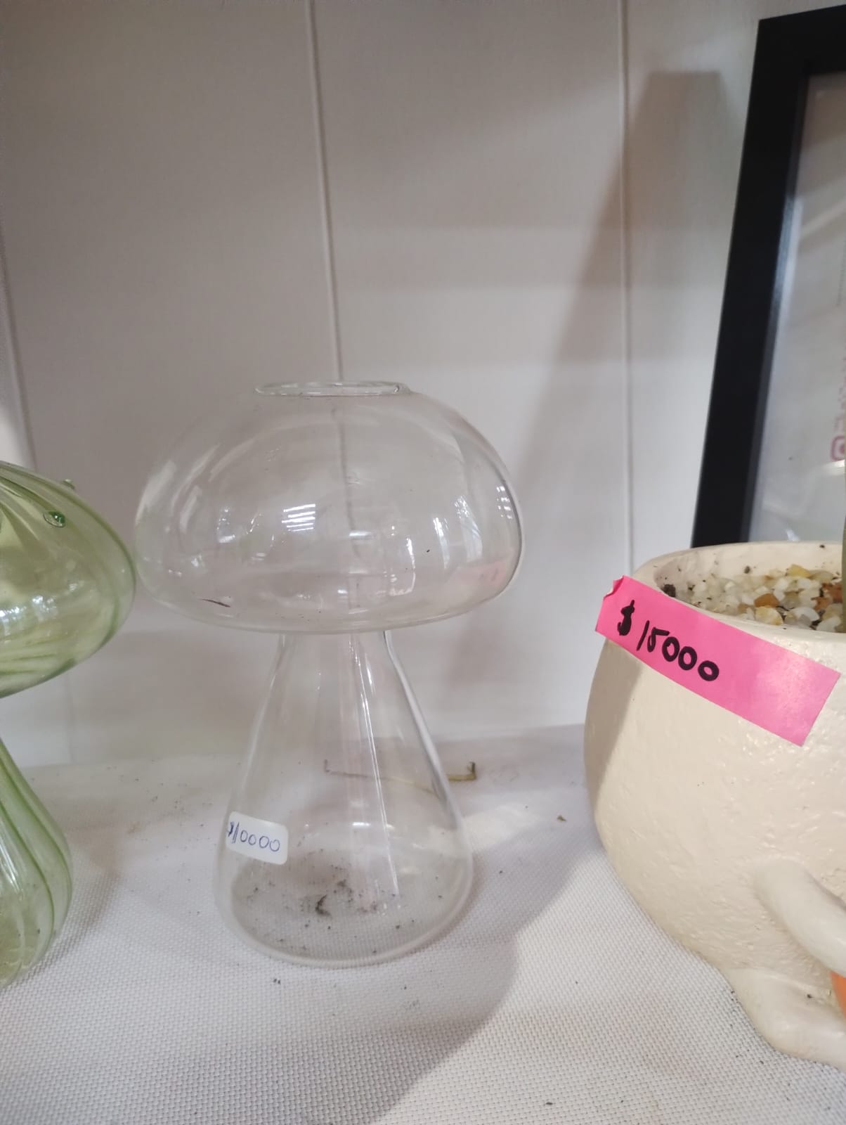 Propagador esqueje vidrio