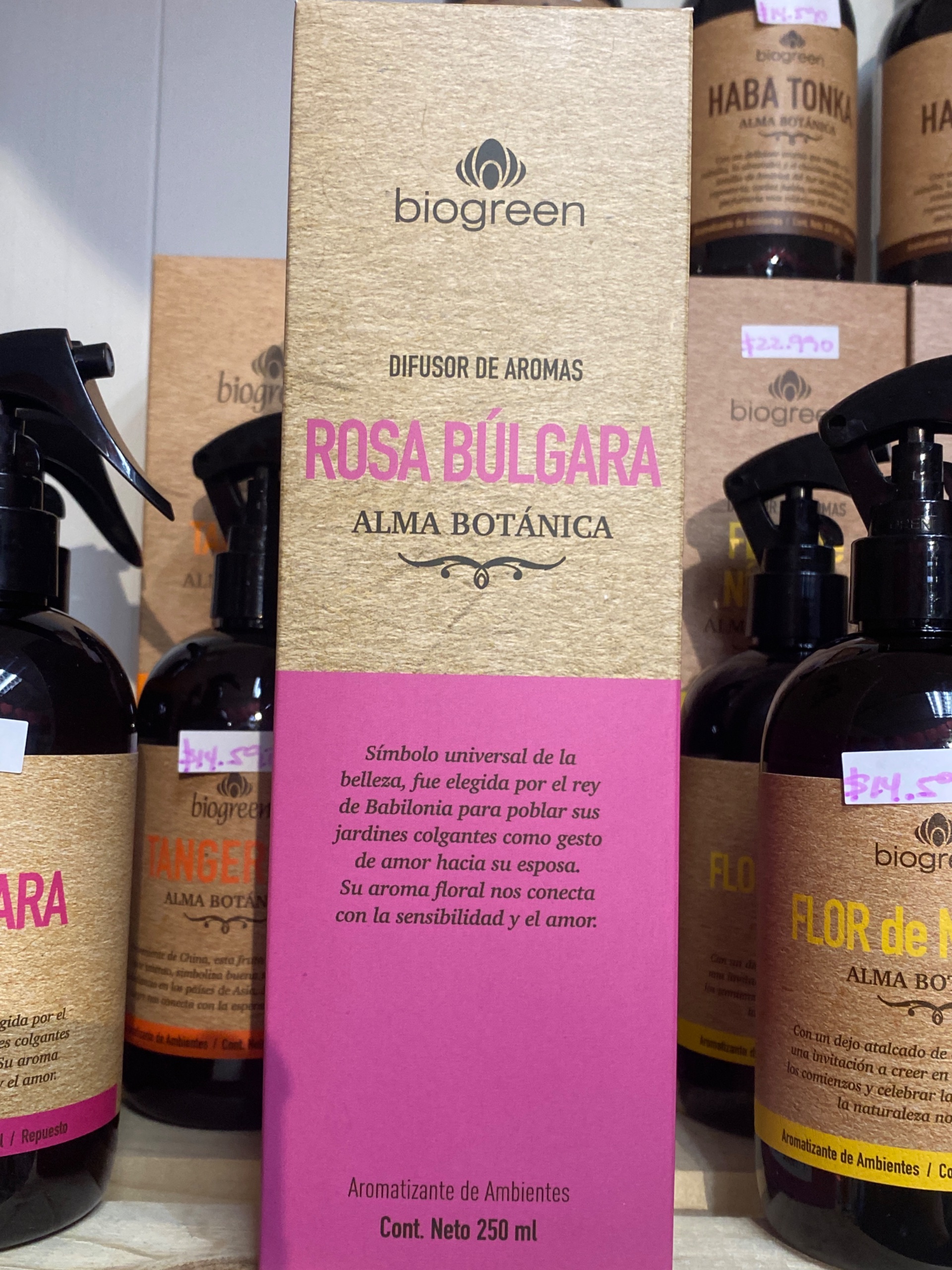 Difusor Rosa Búlgara